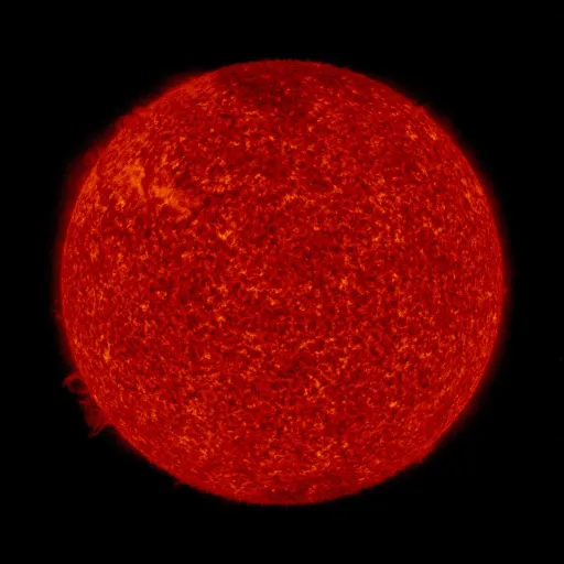 Solar transition region