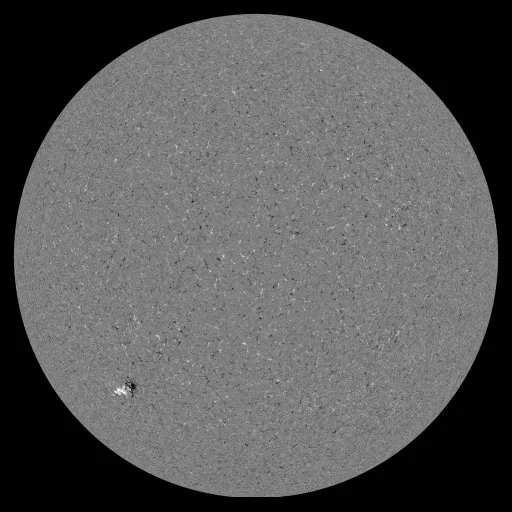 Solar Magnetic Fields