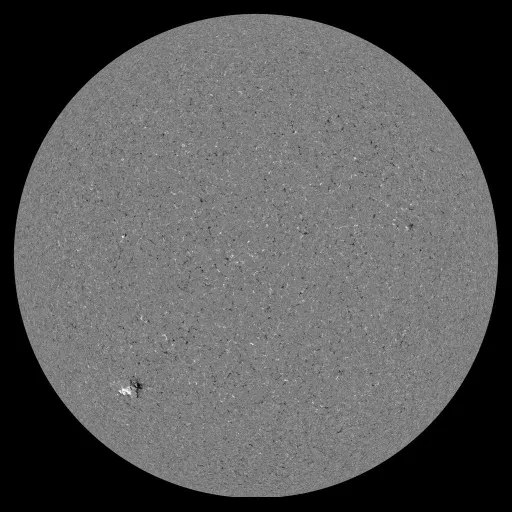 Solar Magnetic Fields