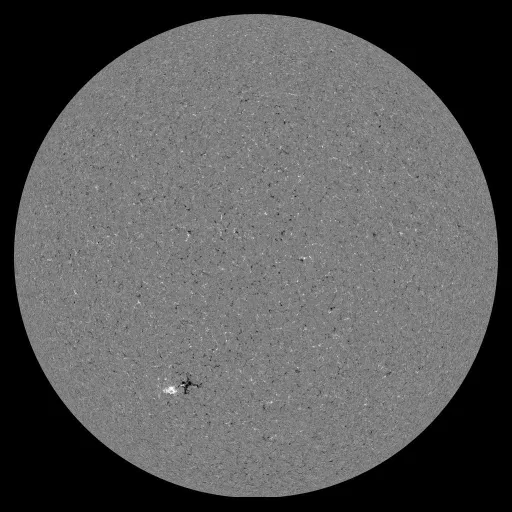 Solar Magnetic Fields