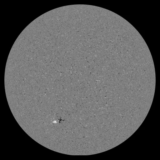 Solar Magnetic Fields