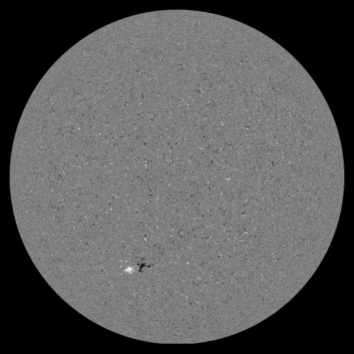 Solar Magnetic Fields