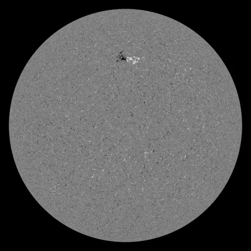Solar Magnetic Fields