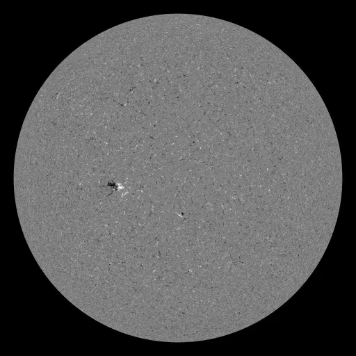 Solar Magnetic Fields