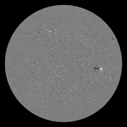 Solar Magnetic Fields