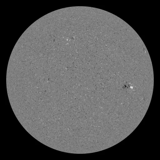 Solar Magnetic Fields