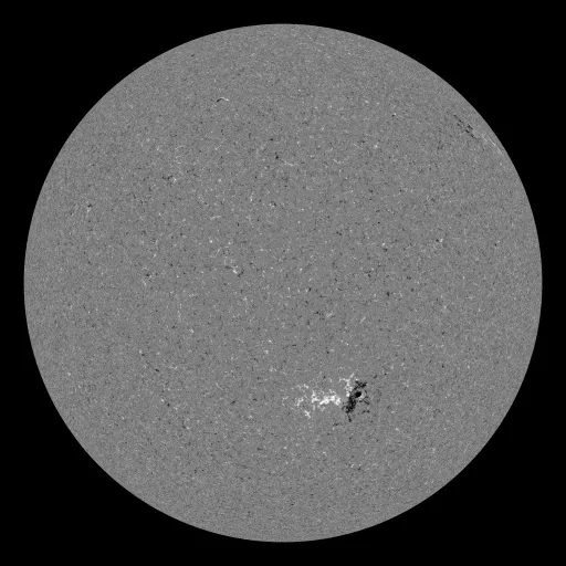 Solar Magnetic Fields