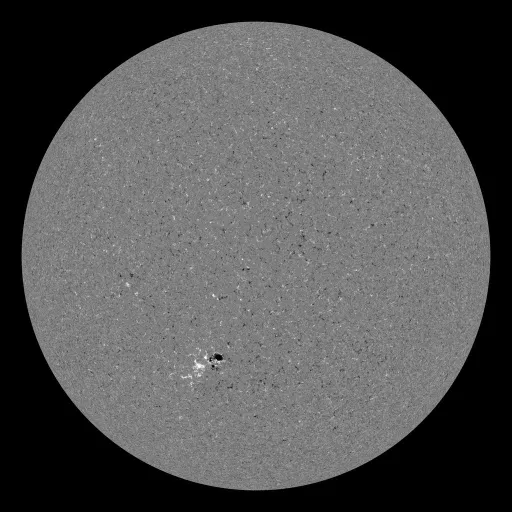 Solar Magnetic Fields