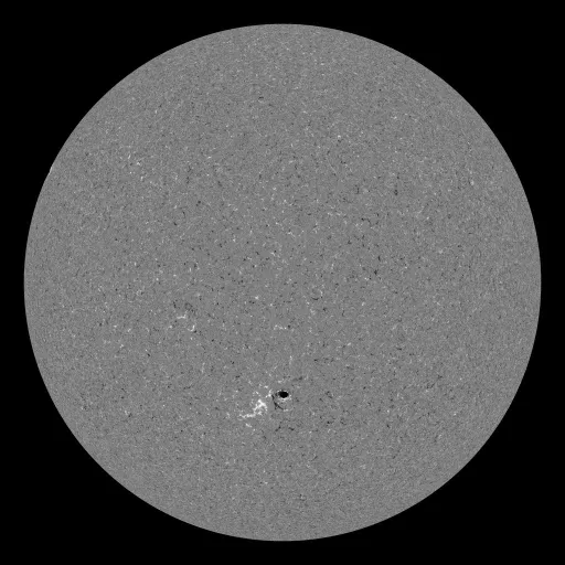 Solar Magnetic Fields