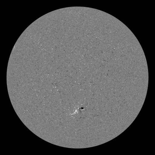 Solar Magnetic Fields