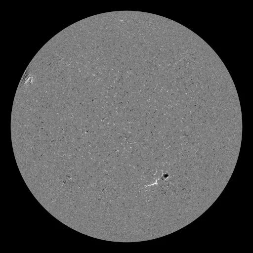 Solar Magnetic Fields