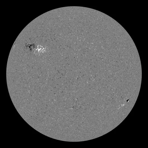 Solar Magnetic Fields