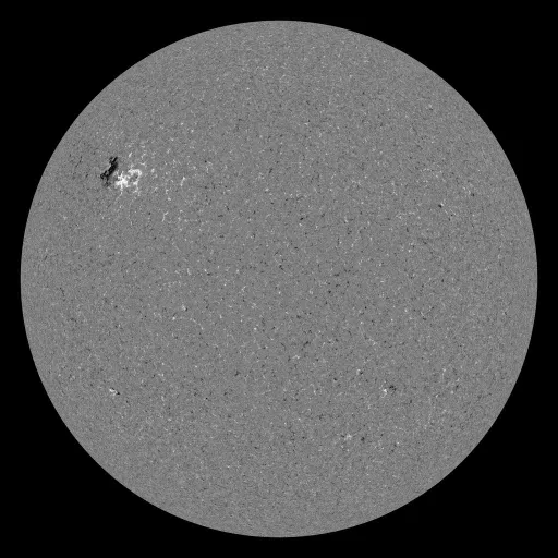 Solar Magnetic Fields