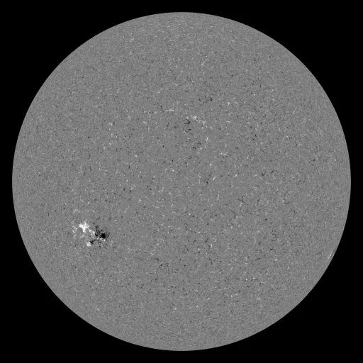 Solar Magnetic Fields