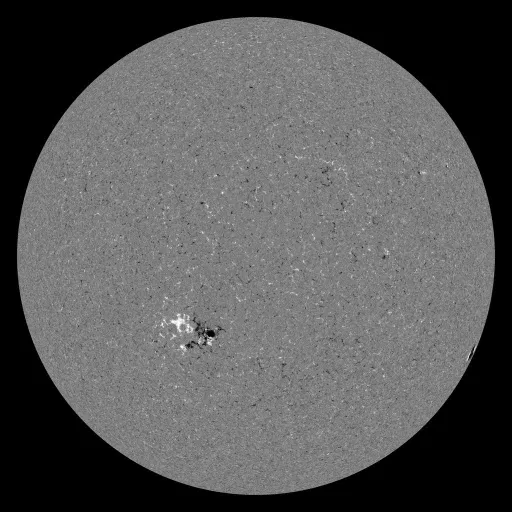Solar Magnetic Fields