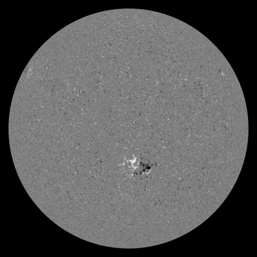 Solar Magnetic Fields