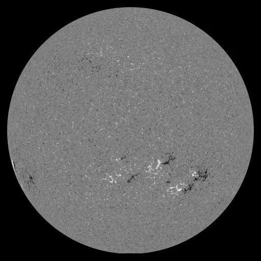 Solar Magnetic Fields