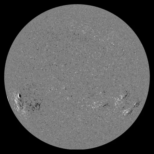 Solar Magnetic Fields