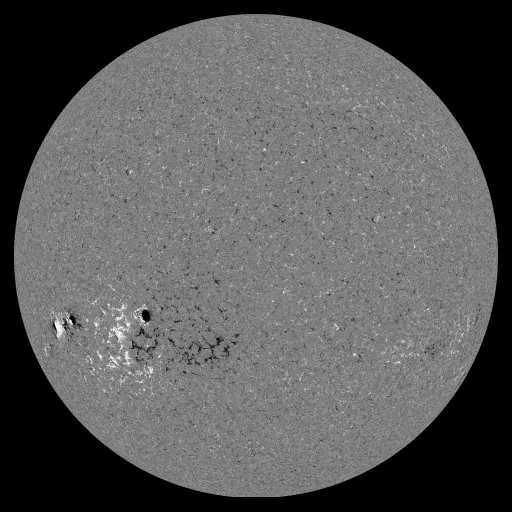 Solar Magnetic Fields