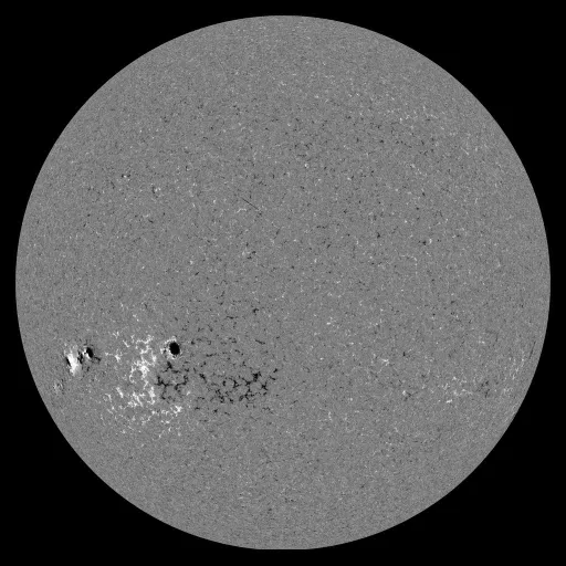Solar Magnetic Fields
