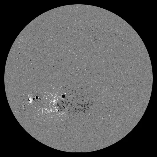 Solar Magnetic Fields