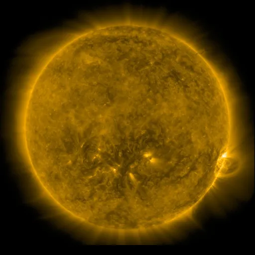 Solar Corona