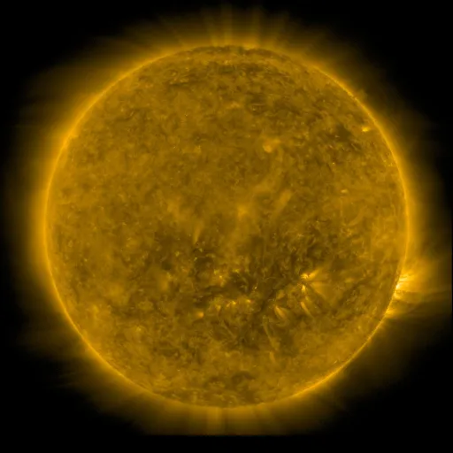 Solar Corona