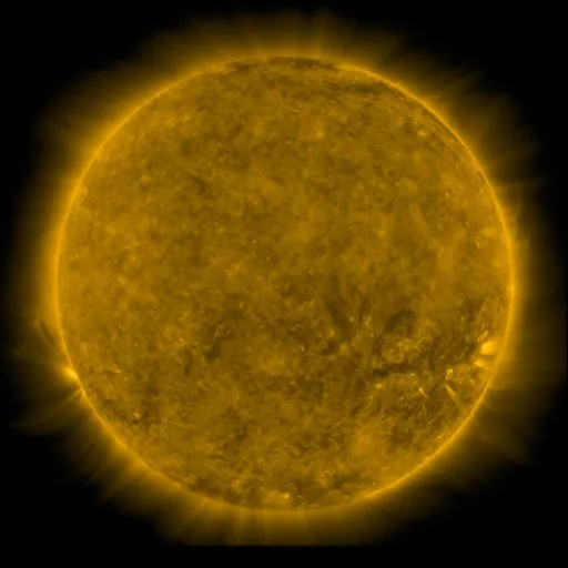Solar Corona