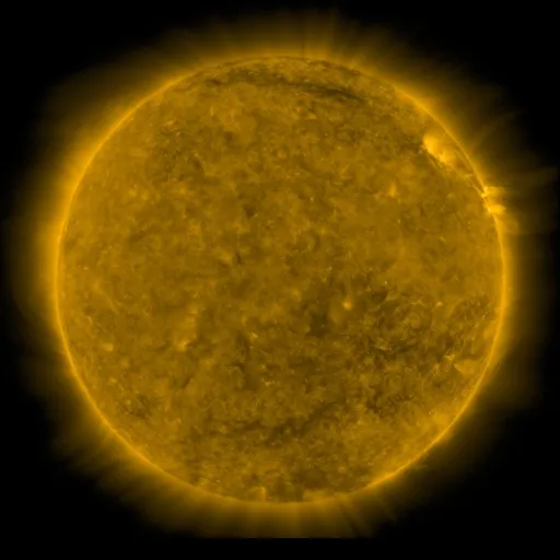 Solar Corona