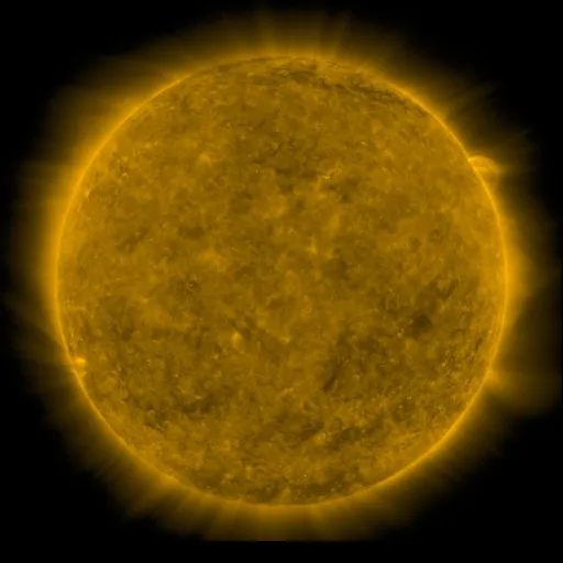 Solar Corona