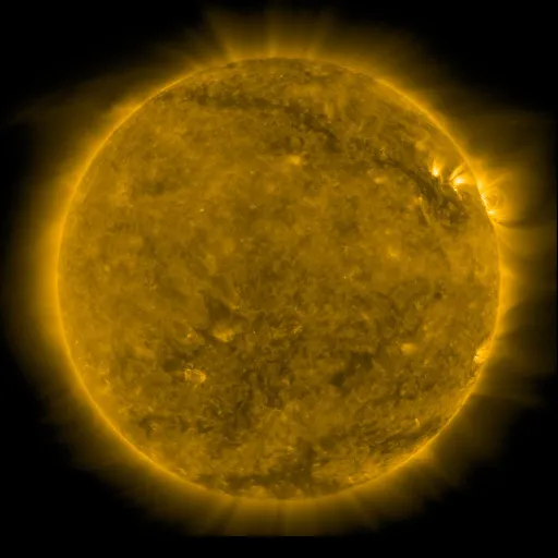 Solar Corona