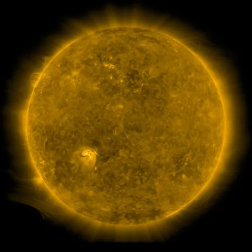 Solar Corona