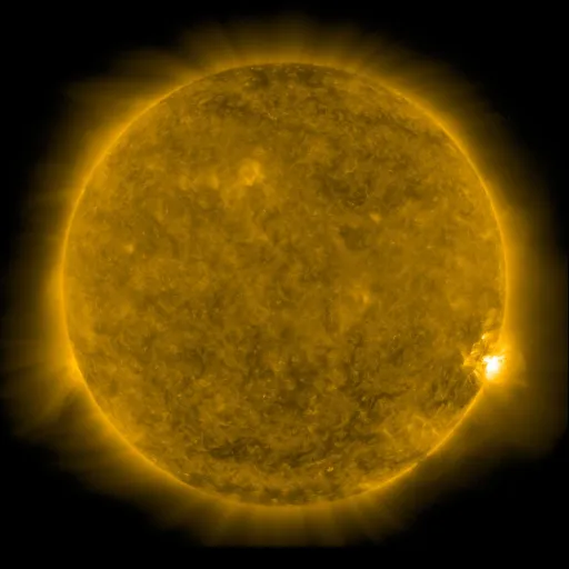 Solar Corona