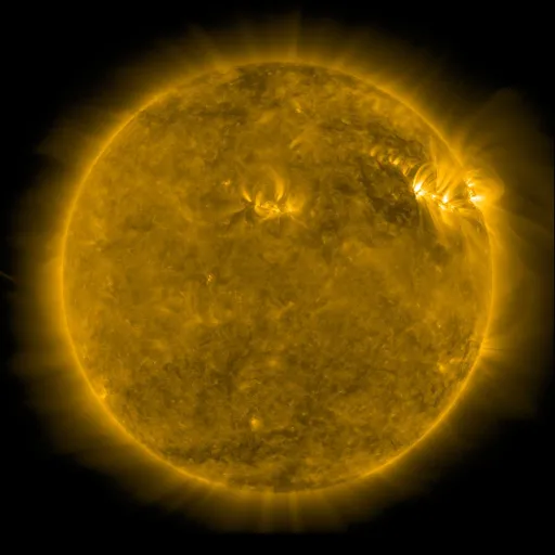 Solar Corona