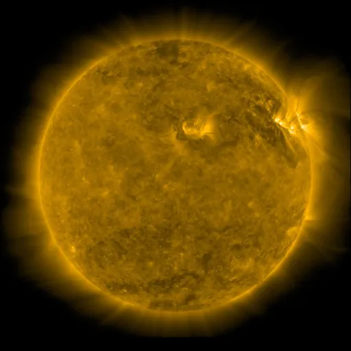 Solar Corona