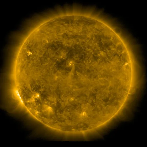Solar Corona