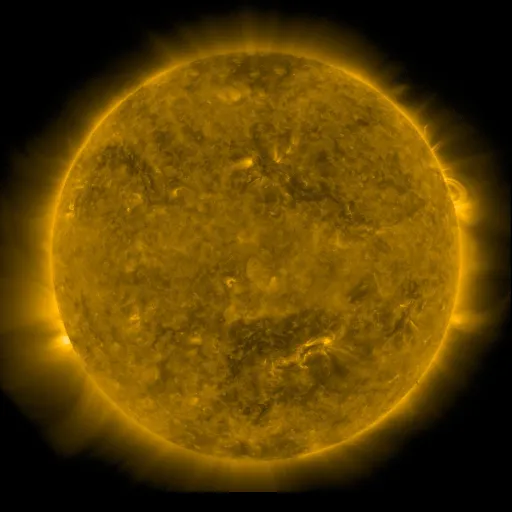 Solar Corona
