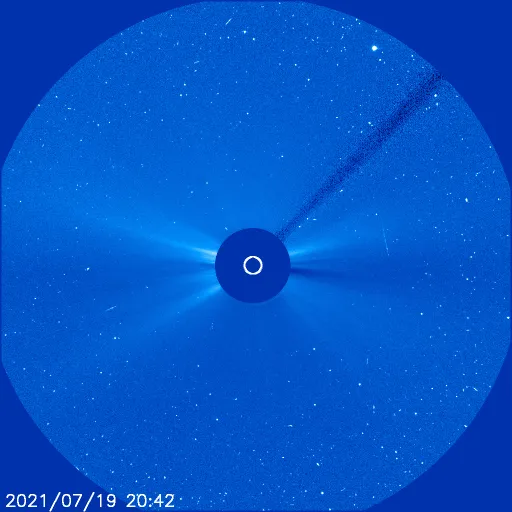 Outer Solar Corona