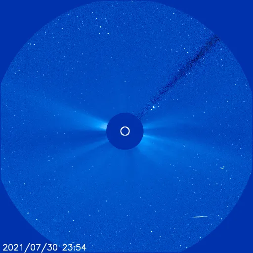 Outer Solar Corona