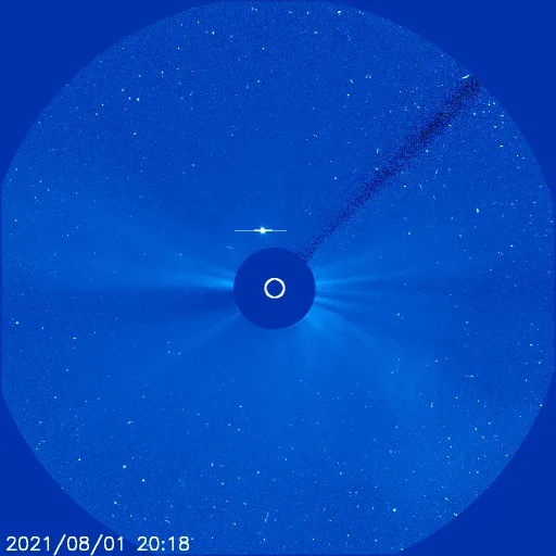 Outer Solar Corona