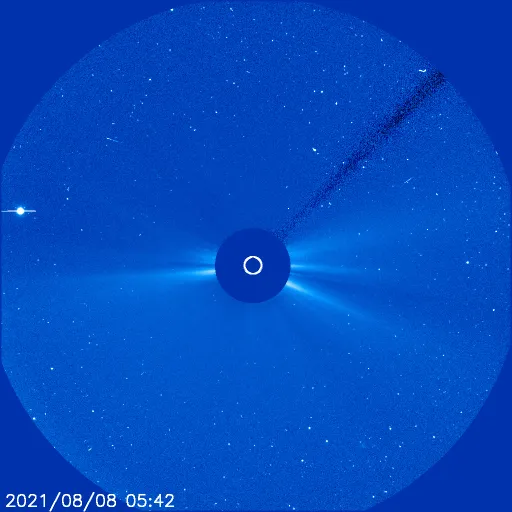 Outer Solar Corona