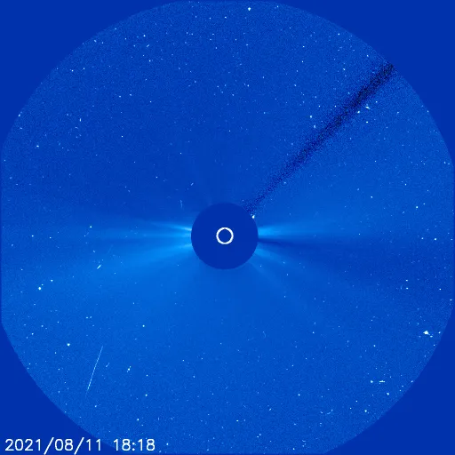Outer Solar Corona