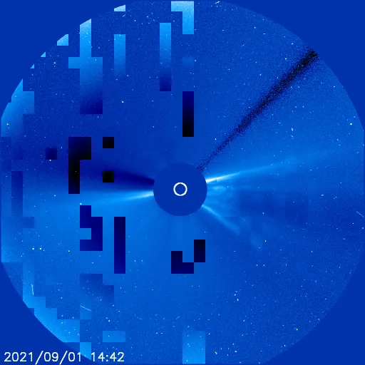 Outer Solar Corona