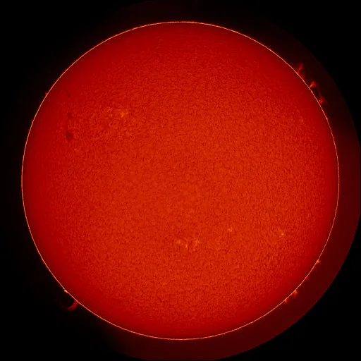 Solar Chromosphere