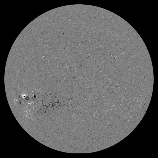 Solar Magnetic Fields