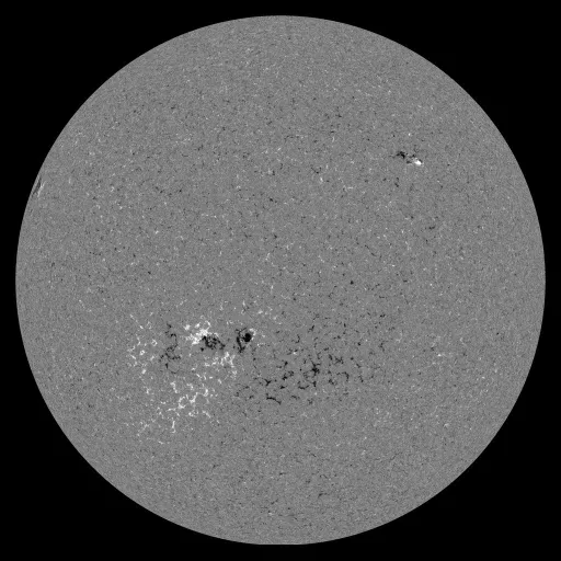 Solar Magnetic Fields