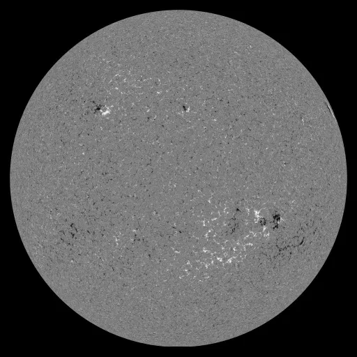 Solar Magnetic Fields