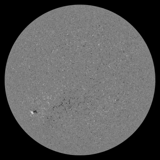 Solar Magnetic Fields