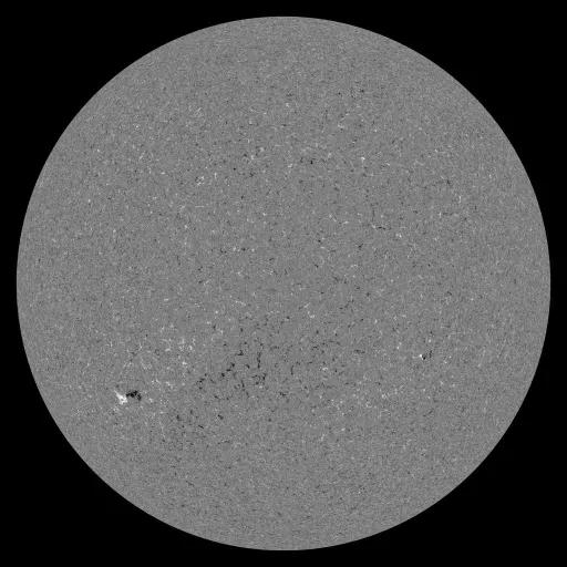 Solar Magnetic Fields