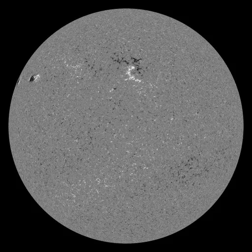 Solar Magnetic Fields